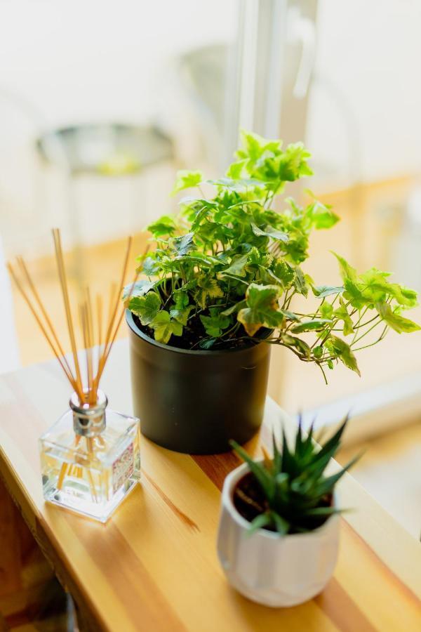 Vibrant Studio Timisoara Ngoại thất bức ảnh
