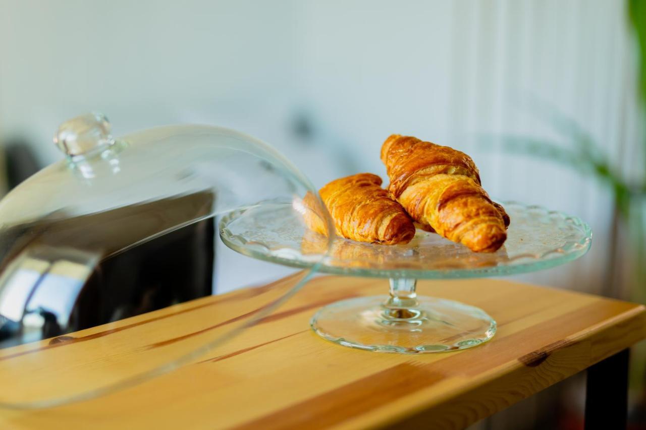 Vibrant Studio Timisoara Ngoại thất bức ảnh