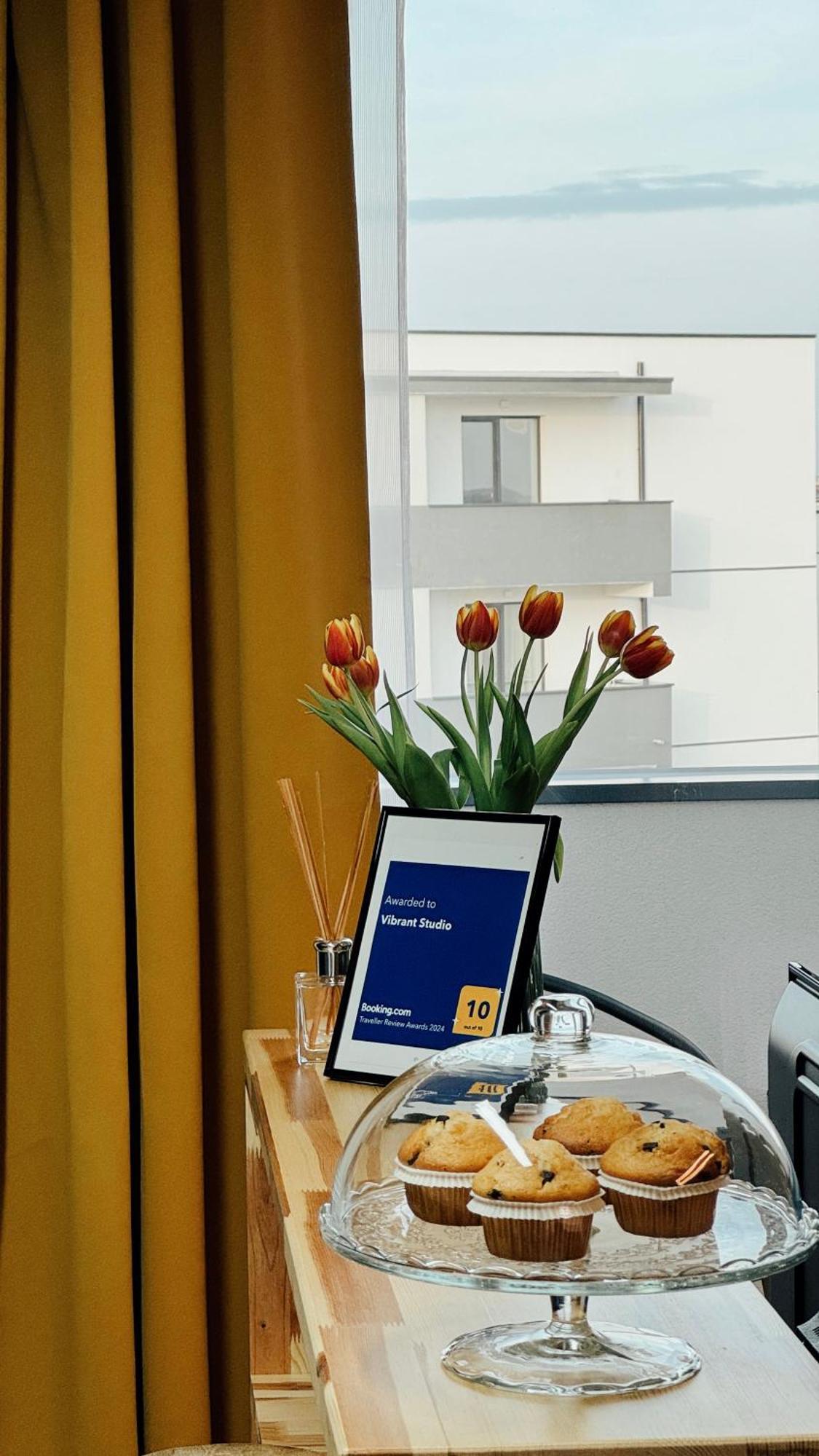 Vibrant Studio Timisoara Ngoại thất bức ảnh