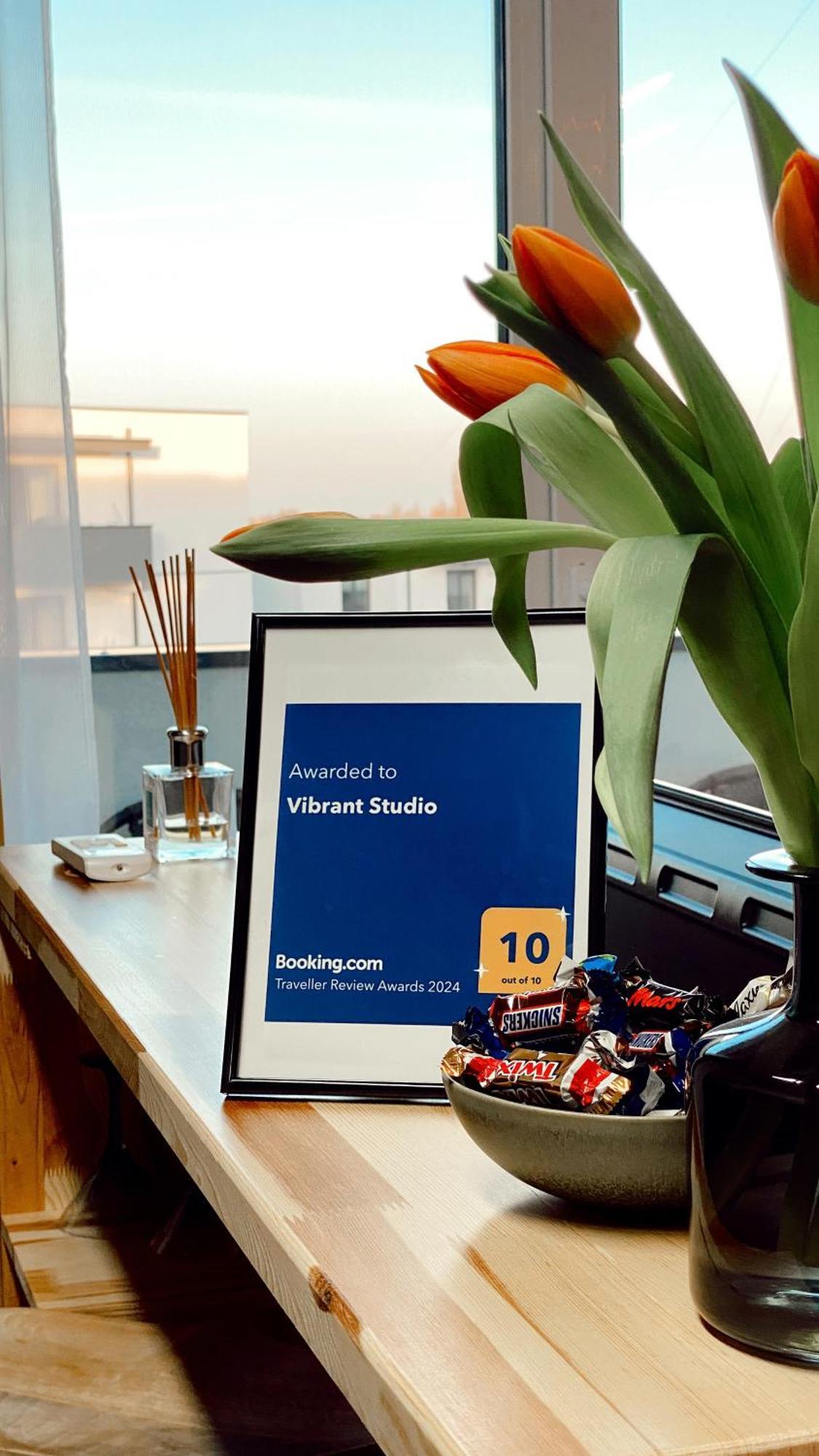 Vibrant Studio Timisoara Ngoại thất bức ảnh